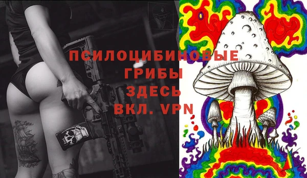 гидра Абинск
