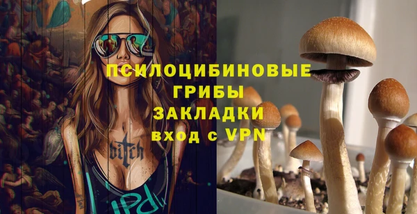 гидра Абинск